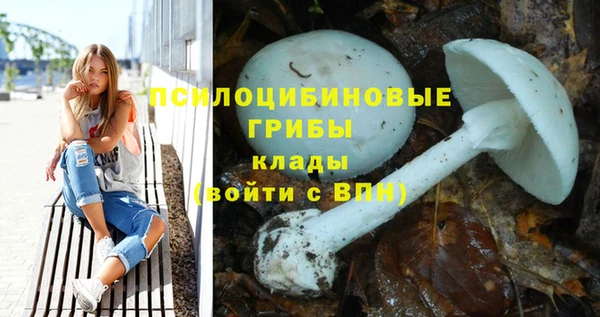 дмт Балахна