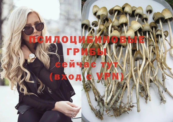 дмт Балахна