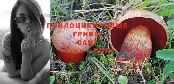 дмт Балахна