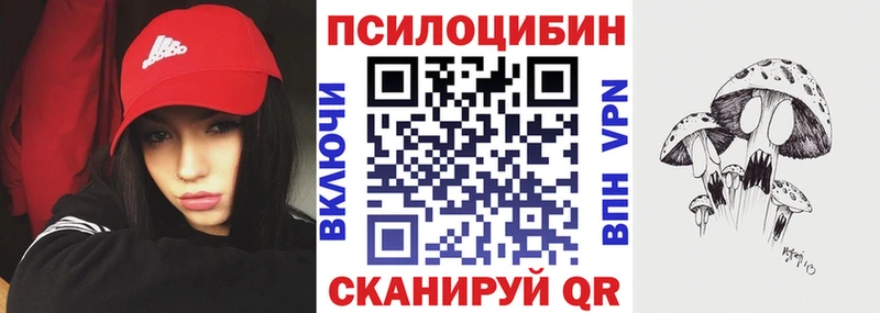 Псилоцибиновые грибы Psilocybe  купить  сайты  ссылка на мегу ссылки  Бирюч 